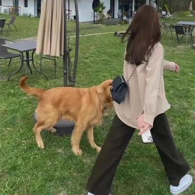 作为替身的她 封面