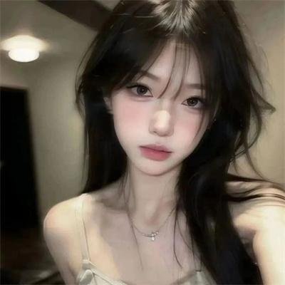 典范 封面
